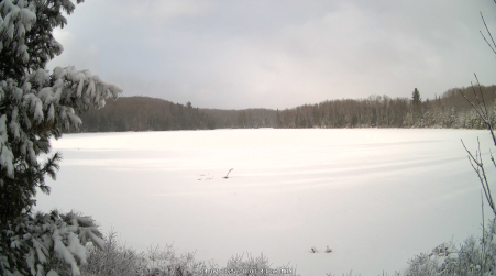 Image from 2025-04-07