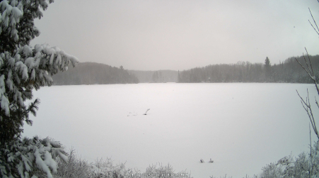 Image from 2025-04-07