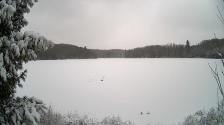 Image from 2025-04-07