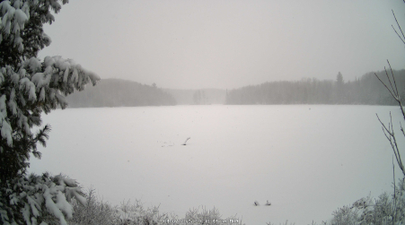 Image from 2025-04-07