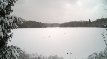 Image from 2025-04-07