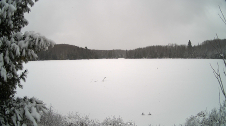 Image from 2025-04-07