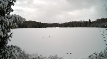 Image from 2025-04-07