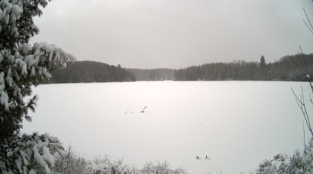 Image from 2025-04-07
