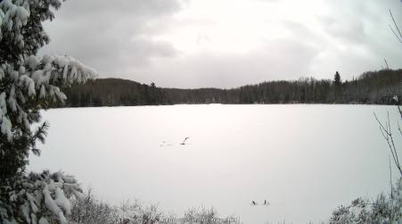 Image from 2025-04-07