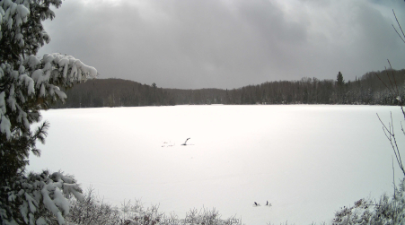 Image from 2025-04-07
