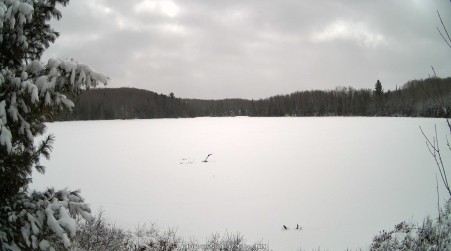 Image from 2025-04-07