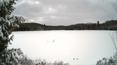 Image from 2025-04-07