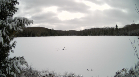 Image from 2025-04-07