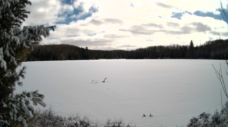 Image from 2025-04-07