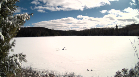 Image from 2025-04-07
