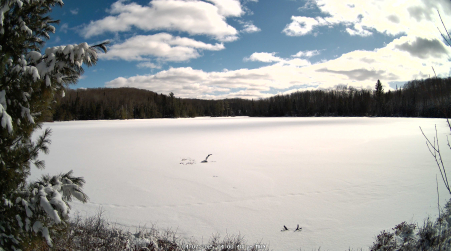 Image from 2025-04-07