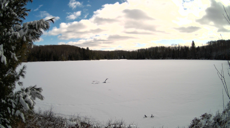 Image from 2025-04-07