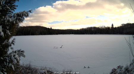 Image from 2025-04-07