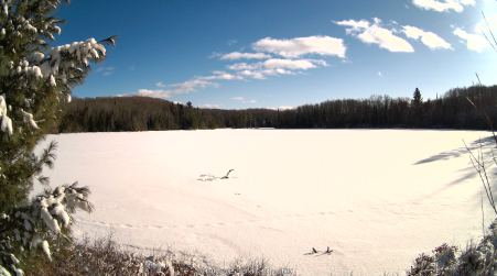 Image from 2025-04-07