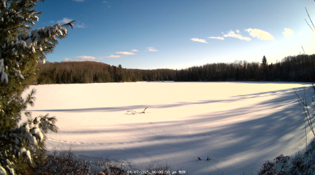 Image from 2025-04-07