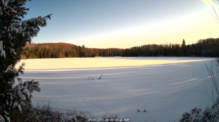 Image from 2025-04-07