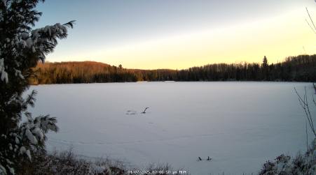 Image from 2025-04-07