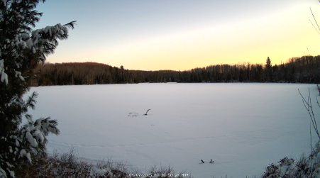 Image from 2025-04-07