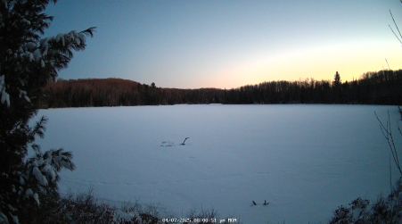 Image from 2025-04-07