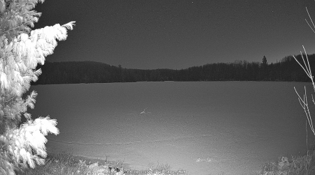 Image from 2025-04-07