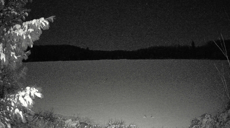 Image from 2025-04-07