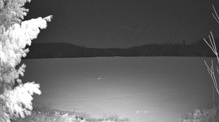 Image from 2025-04-07