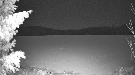 Image from 2025-04-07
