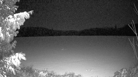 Image from 2025-04-08