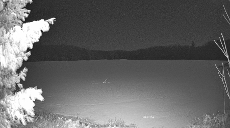 Image from 2025-04-08