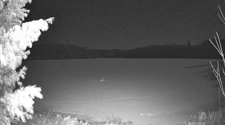 Image from 2025-04-08