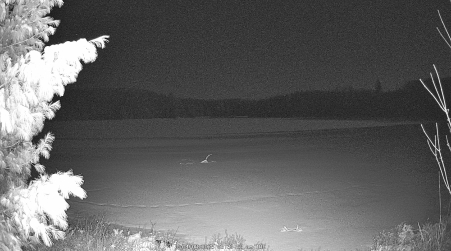 Image from 2025-04-08