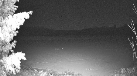 Image from 2025-04-08