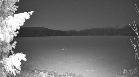 Image from 2025-04-08