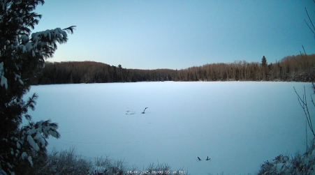 Image from 2025-04-08