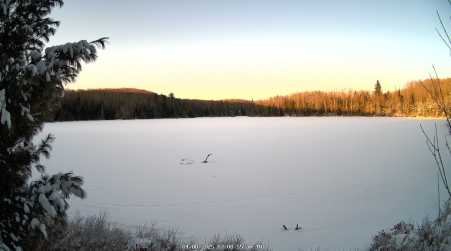Image from 2025-04-08