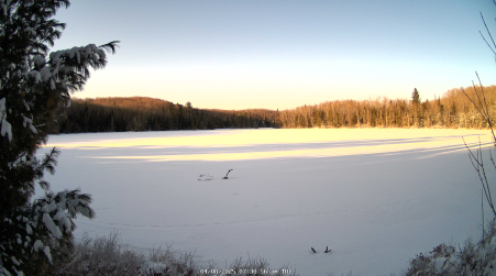 Image from 2025-04-08