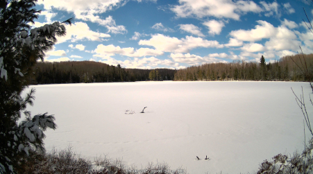 Image from 2025-04-08