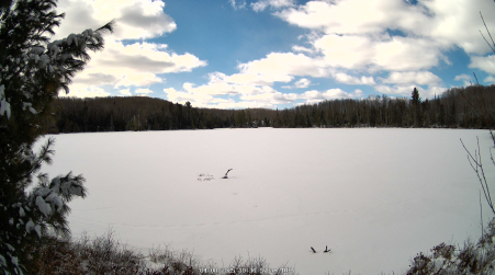 Image from 2025-04-08