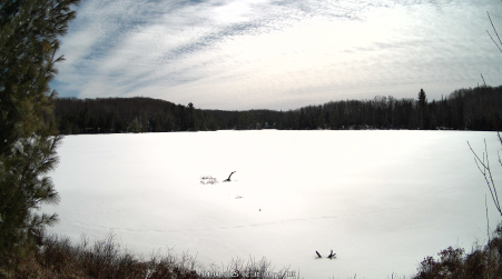 Image from 2025-04-08