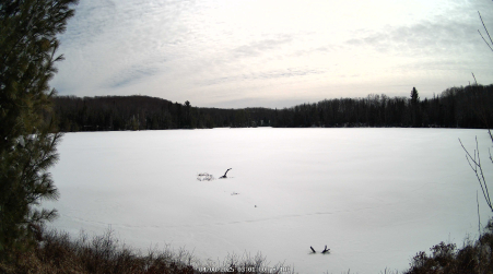 Image from 2025-04-08