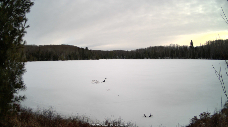 Image from 2025-04-08