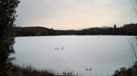 Image from 2025-04-08