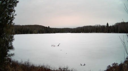 Image from 2025-04-08