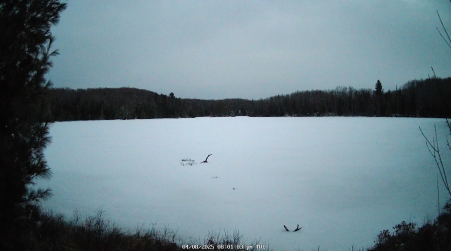 Image from 2025-04-08