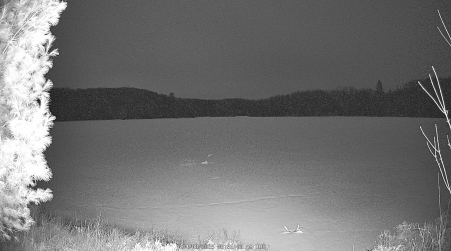 Image from 2025-04-08