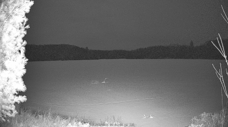 Image from 2025-04-08