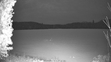 Image from 2025-04-08