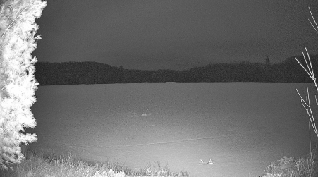 Image from 2025-04-08