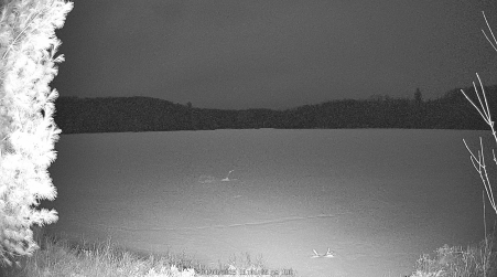 Image from 2025-04-08